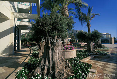 Club Hotel Casino Loutraki 15